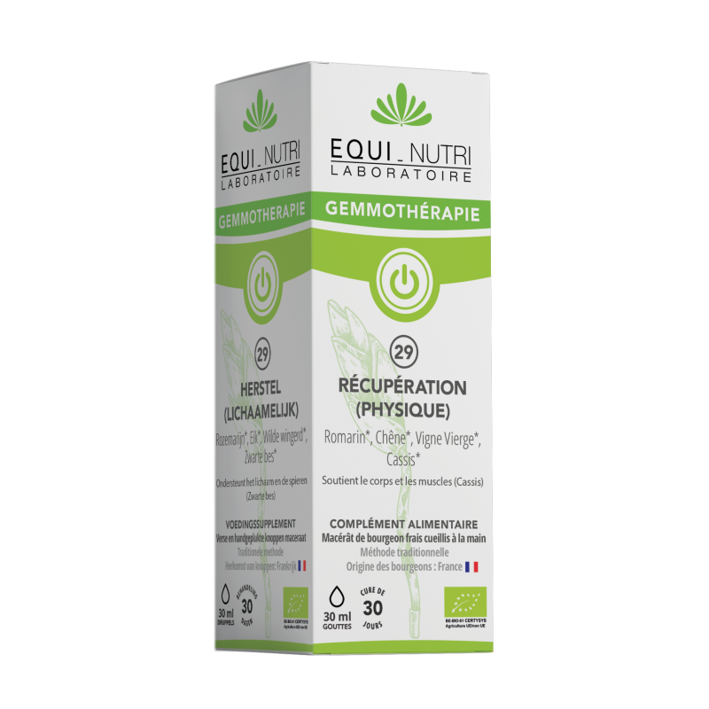 N°29 RÉCUPÉRATION (PHYSIQUE)* 30ml