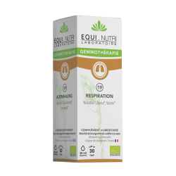 N°19 ADEMHALING* 30ml