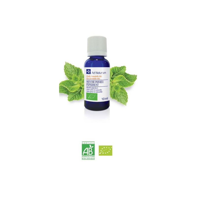 HE MENTHE POIVREE BIO