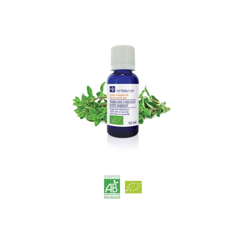 HE MARJOLAINE A COQUILLE BIO